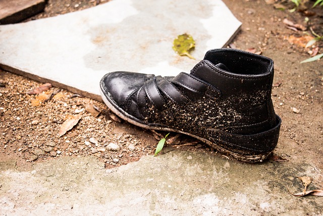 Download free HD stock image of Shoe Wet Free Shoe Wet photo and picture