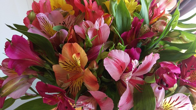 Free Flowers Bouquet photo and picture