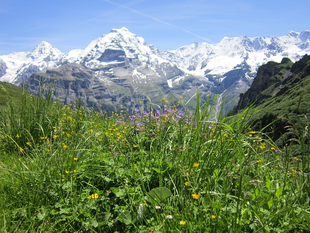 Free Swiss Alps photo and picture