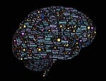brain, mind, mindfulness
