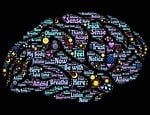 brain, mind, mindfulness