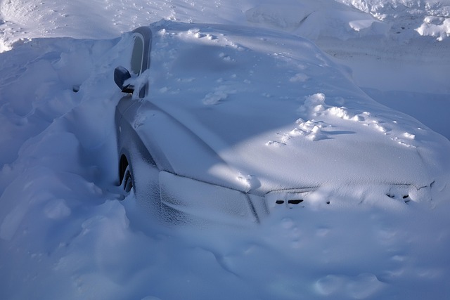 Free Automobile Snowed In photo and picture
