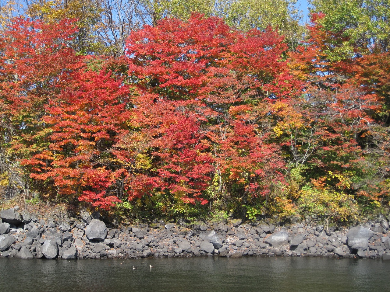 Autumn - free online jigsaw puzzle photo