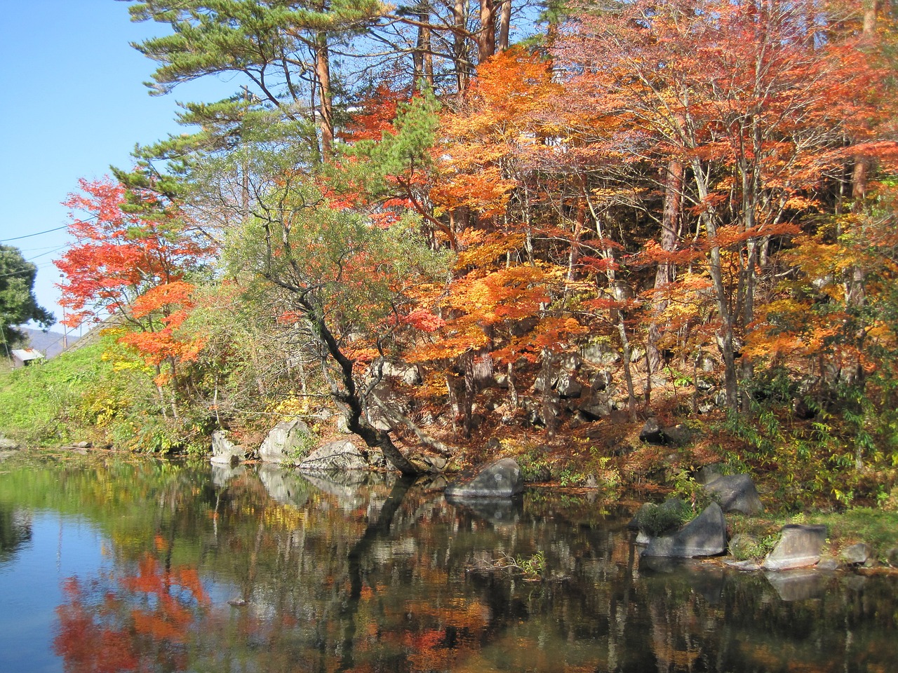 Autumn - free online jigsaw puzzle photo