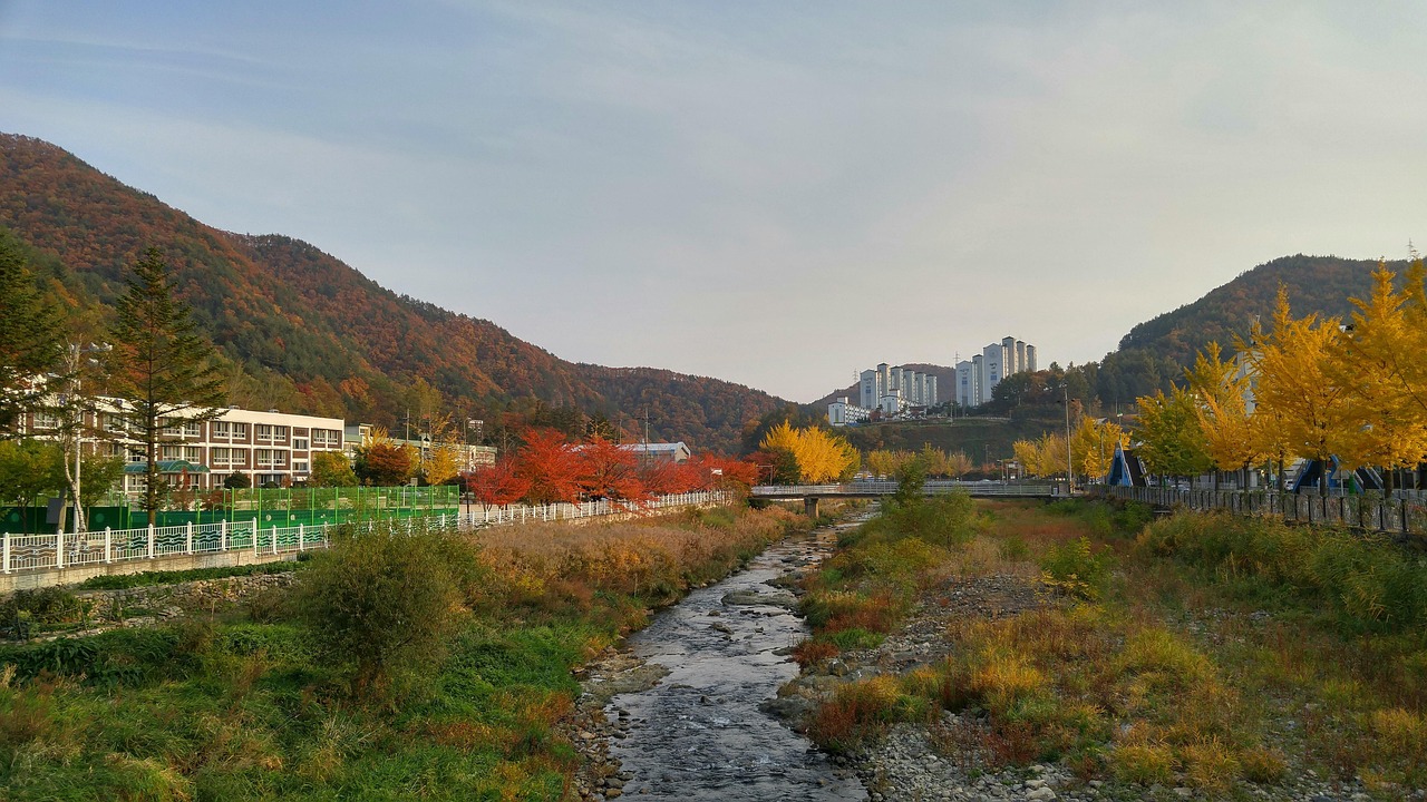 70개 이상 무료 하천 및 시냇물 사진 - Pixabay