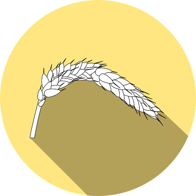 Free wheat gluten allergy illustration