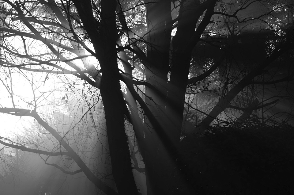 10 Signs You’re on the Path to Spiritual Awakening – An article exploring the common signs and symptoms of spiritual growth and awakening.
