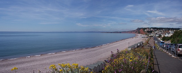 Free Budleigh Sea photo and picture