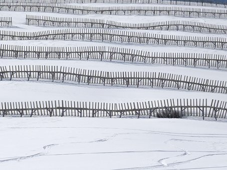 Free Avalanche Protection Avalanche Control photo and picture