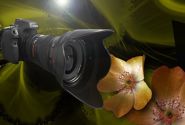 Free installation camera slr camera illustration