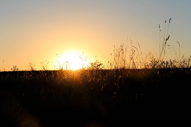 Free Sunset Nature photo and picture