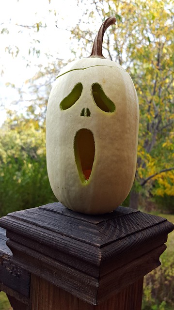 Free Squash Garden photo and picture