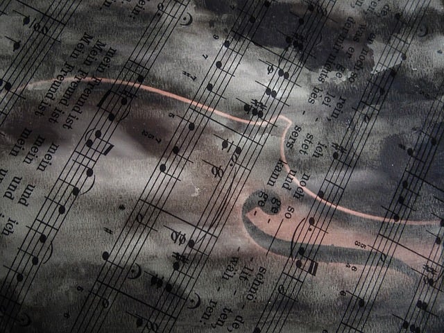 Musikk, Fiolin, Atmosfære, Harmoni