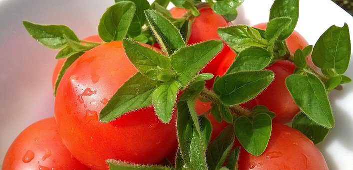 Free Tomatoes Basil photo and picture