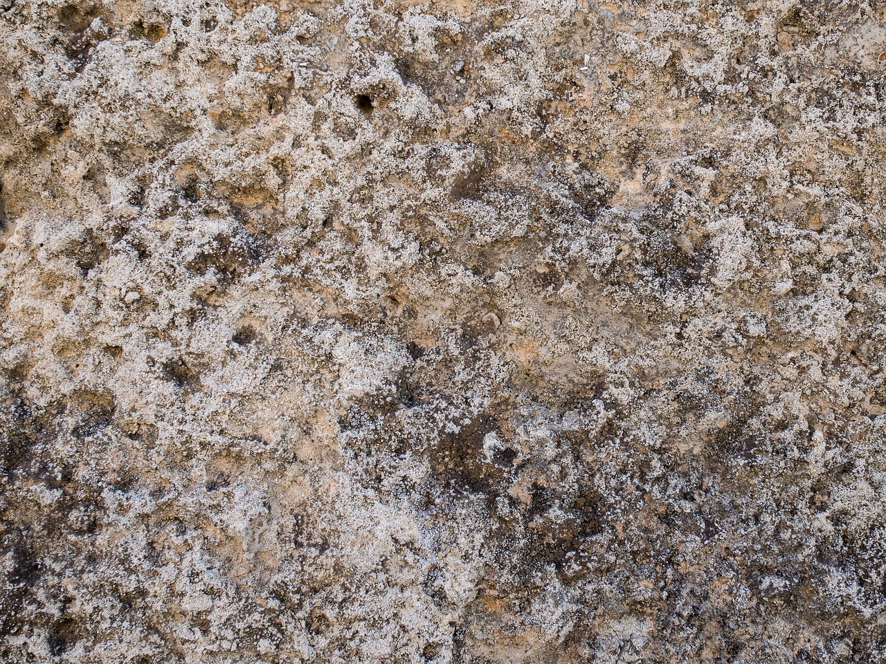 Texture - free online jigsaw puzzle photo