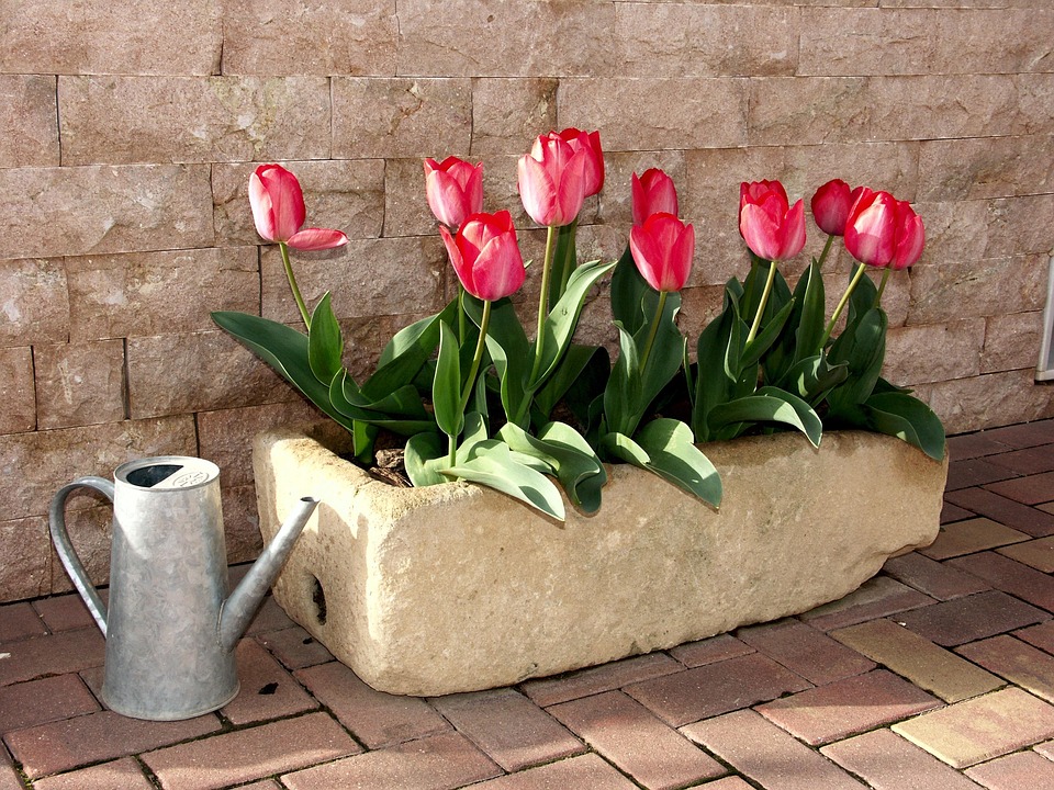 Vaso Decorativo In Cemento Casa Di Tulipani - Dipinto A Mano, Con Drenaggio, 15,5 Cm, Per Interni/Esterni