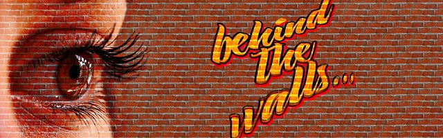 Banner, Header, Auge, Mauer, Steine