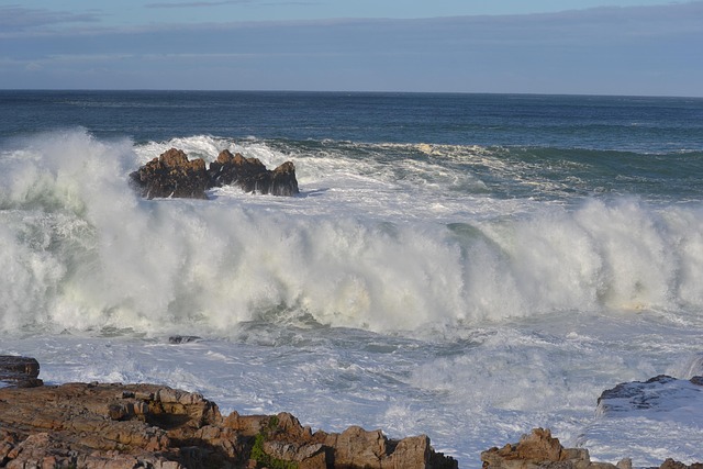 Free Ocean Waves photo and picture