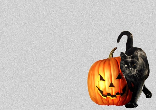 Free Terror Halloween illustration and picture