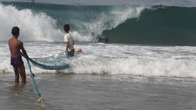 Pescador, Sri Lanka, Praia, Peixe, Mar