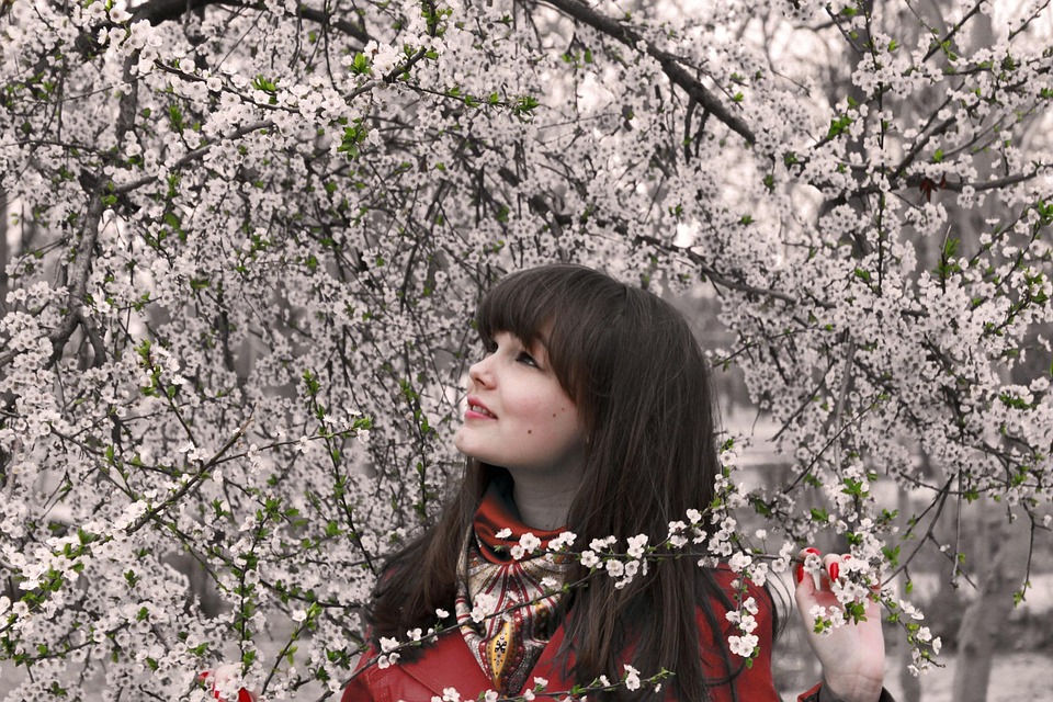 Spring, Flowers, Cherry, Cherry Blossom, Nature, Branch