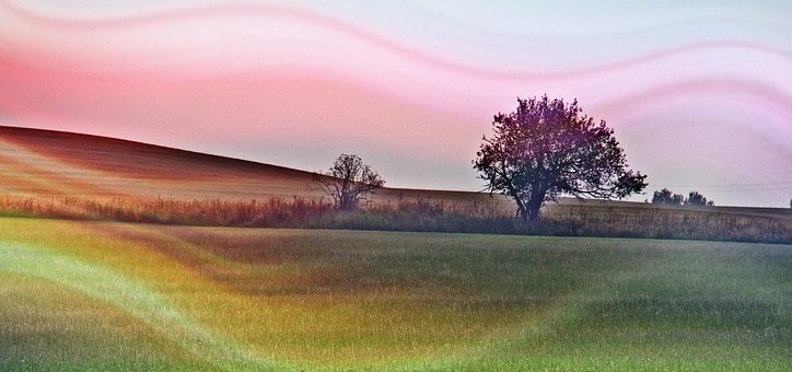 Free Country Light photo and picture
