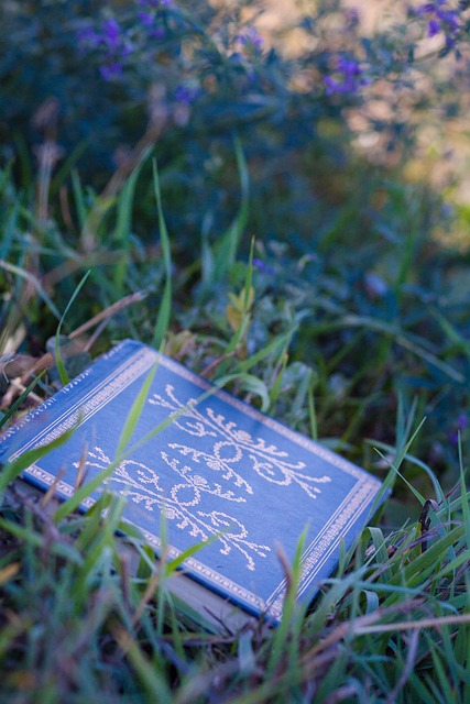 Free Book Grass photo and picture