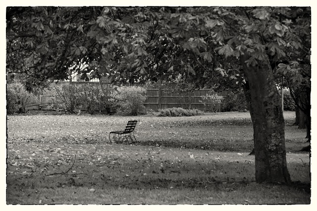 Free Bench Park photo and picture