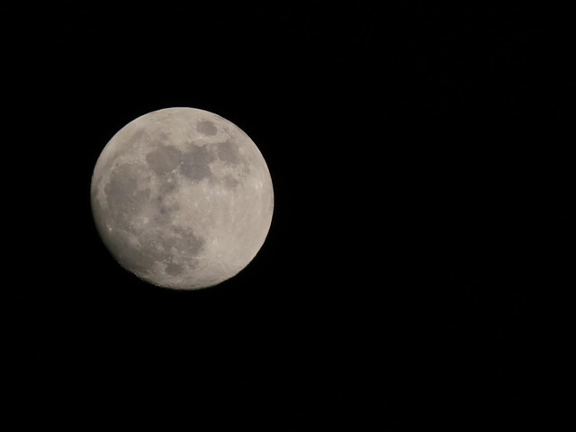 Free Moon Moonlight photo and picture