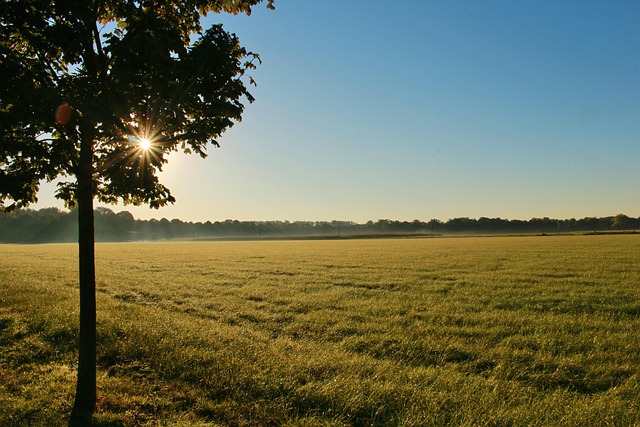 Free Country Field photo and picture