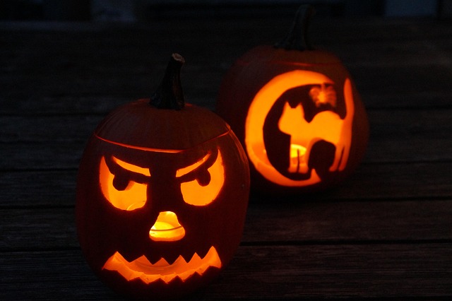 Free Pumpkin Halloween photo and picture