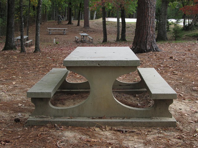 Free Picnic Table State Park photo and picture