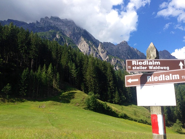 Free Path Signpost photo and picture