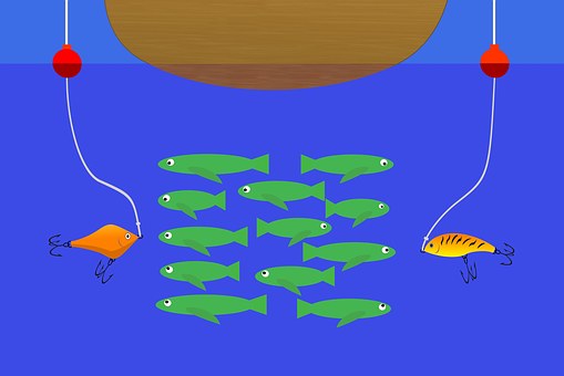 Free Fishing Fish illustration and picture