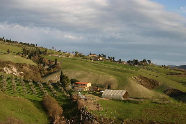 Free Tuscany Landscape photo and picture