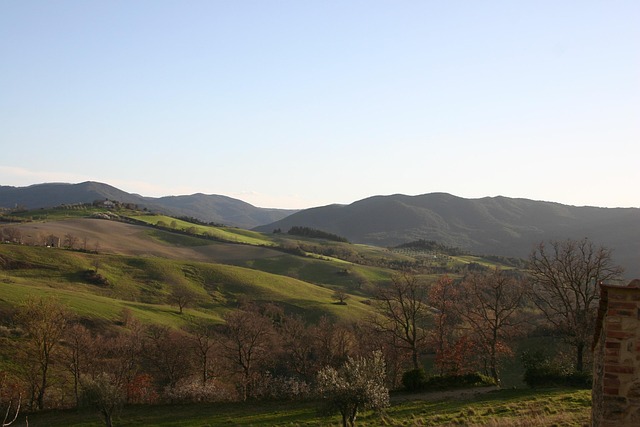 Free Tuscany Landscape photo and picture
