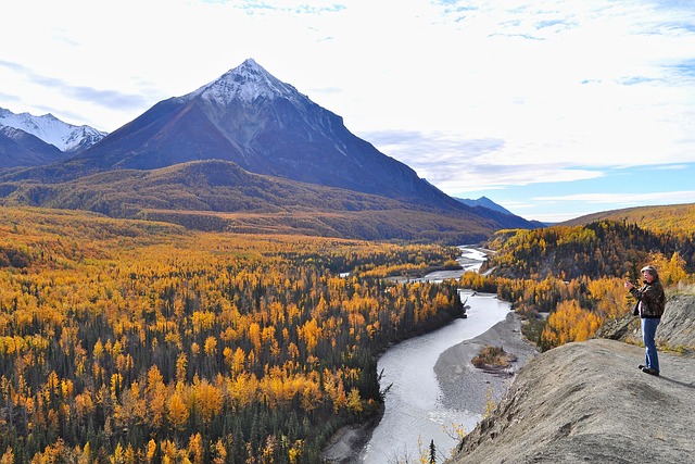 Free Mountains Trees photo and picture