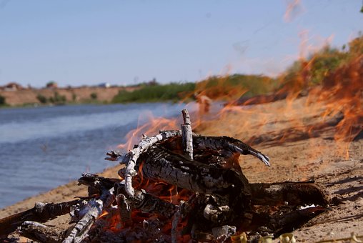 Free Koster Flame photo and picture