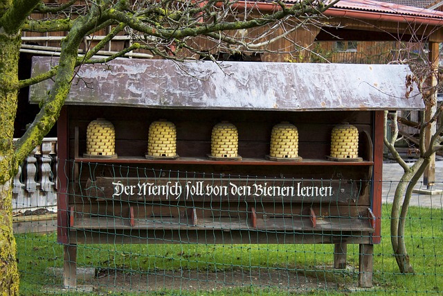 Bijen, Dorp, Duitsland, Beieren, Europa