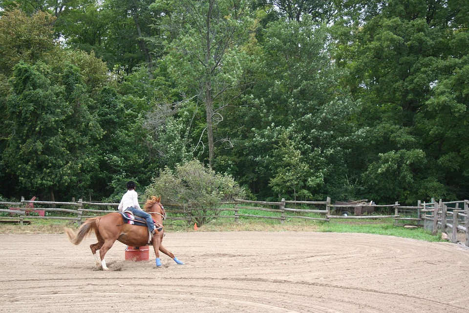 Étriers cheval antidérapants, 1 paire, équipement ... – Grandado Étriers cheval antidérapants, 1 paire, équipement ... – Grandado