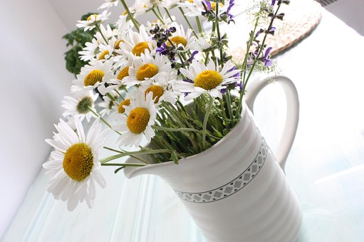 Free Magaritten Flower photo and picture