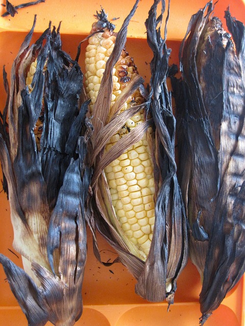 Free Corn Kernels photo and picture