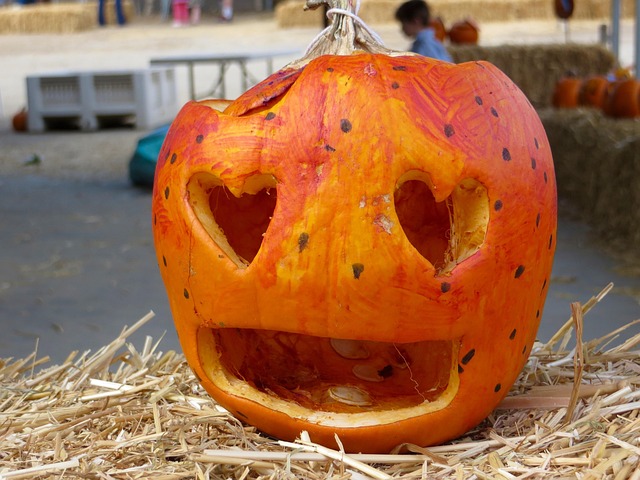 Free Halloween Pumpkin photo and picture