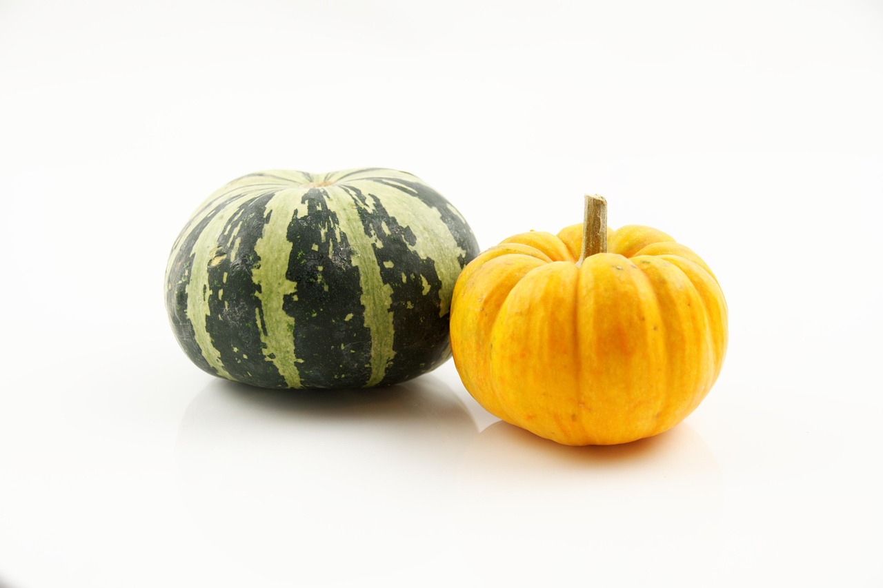 8,000+ HD Pumpkin Pictures for Free - Pixabay
