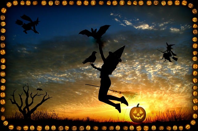 Free halloween nature witch illustration