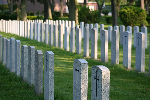 Free Headstones Rows photo and picture