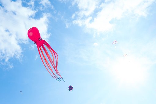 Free Kite Flying Dragon photo and picture