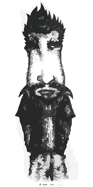 Vectores, Ilustracion, Dibujo, Personaje
