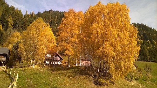 Otoño, Árboles, Multicolor, Paisaje