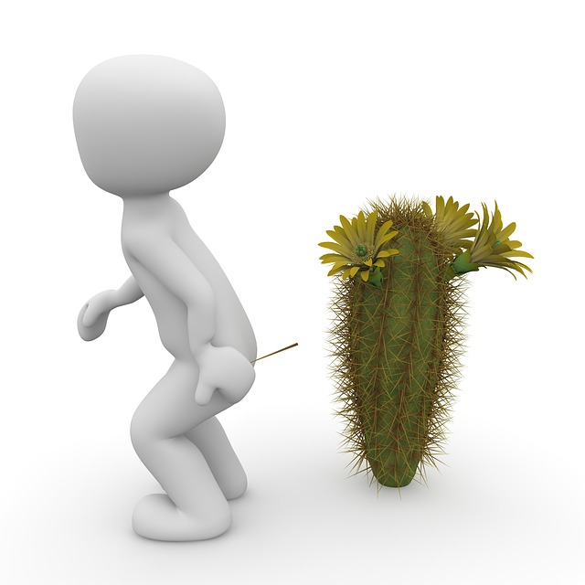 Free cactus sting thorns illustration